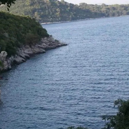 Daire Laura Mljet - Comfort One Bedroom With Balcony And Sea View Sobra