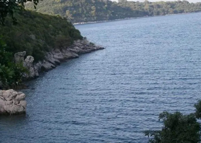 Daire Laura Mljet - Comfort One Bedroom With Balcony And Sea View Sobra